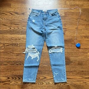 Pistola High Rise Distressed Blue Jeans
